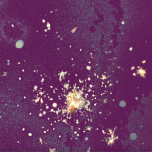 Profile photo of Test